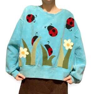 Upcycled BDG Ladybug Flower Patchwork Blue Sweater Bug Lover M